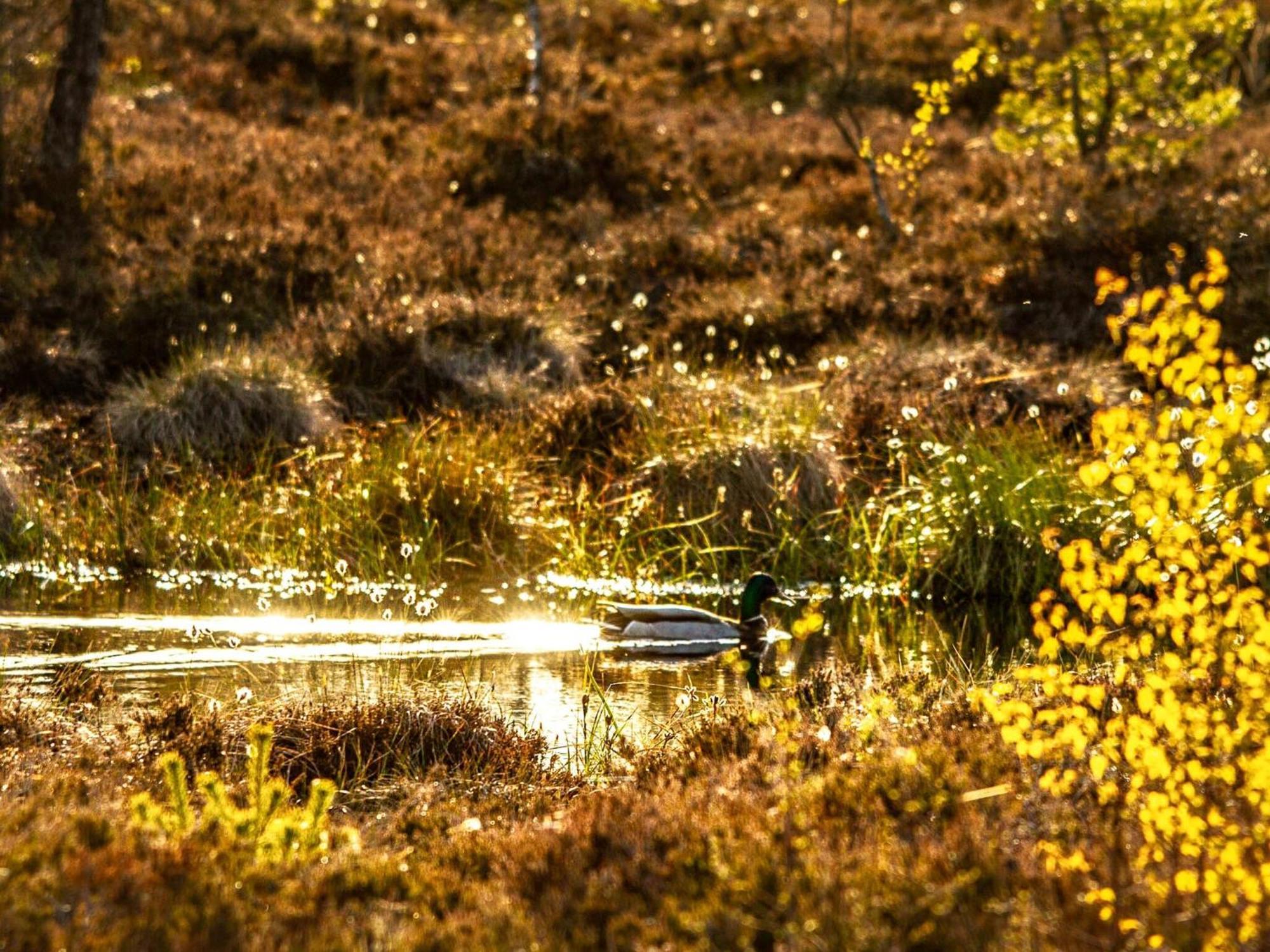 Berghotel Deutscher Flieger Wasserkuppe Герсфельд Экстерьер фото